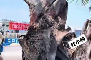 气质真绝