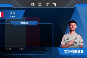 已官宣！阿森纳免签前利兹联门将梅斯利耶！看看集锦吧