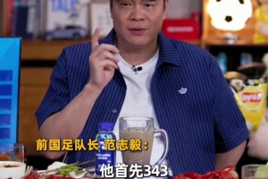 范志毅看好日本淘汰巴西：日本队阵容太均衡、发挥稳定