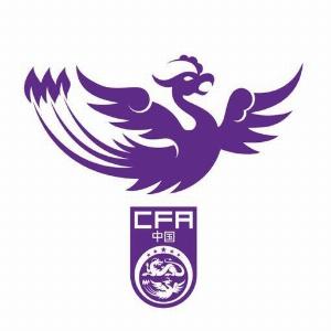 逆境中绽放，U18女足团队展现坚毅意志